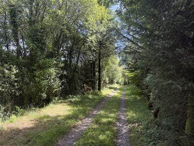 Picture 42
